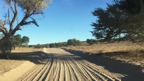 Der-Blick-Auf-Die-Unbefestigten-Straßen-Der-Kalahari-Durch-Ein-Safarifahrzeug-Im-Kgalagadi-Transfrontier-Park-An-Einem-Normalen-Tag