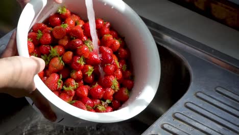 Zeitlupen-Nahaufnahme,-Die-Eine-Schüssel-Mit-Frisch-Gepflückten-Erdbeeren-Unter-Fließendem-Wasser-Wäscht