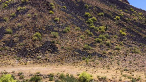 Luftneigung-Nach-Oben-Von-Der-Wüstentrockenwäsche-Zum-Berghang,-Der-Mit-Blühenden-Palo-Verde-Bäumen-übersät-Ist,-Scottsdale,-Arizona-Konzept:-Wüste,-Blühende-Bäume,-Reisen