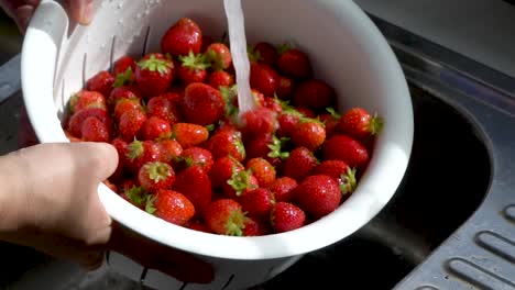 Slow-motion-close-up-rinsing-organic-strawberries-under-running-water,-tossing-and-and-falling