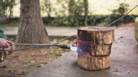 Craftsman-blow-torch-a-tree-log