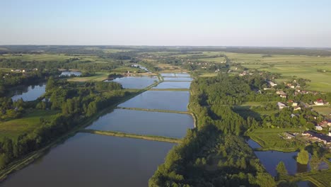 Luftaufnahme-Der-Im-Frühling-überschwemmten-Reisfelder-In-Polen
