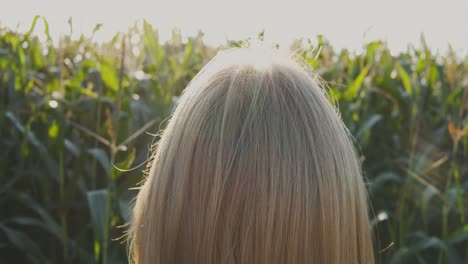 View-from-behind-on-blonde-woman-standing-in-front-of-corn-field-and-enjoys-the-sun