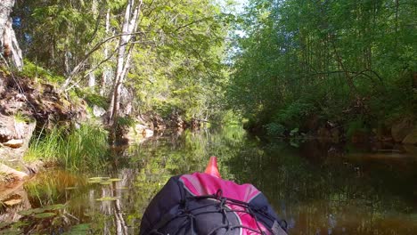 Kayak-slowly-floating-in-peaceful-river,-hanging-trees-forming-natural-gate,-FPV