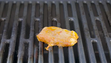Preparing-Fresh-meat-on-a-gas-BBQ-grill