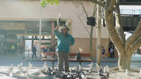 Homeless-Man-Feeding-City-Birds-Pigeons
