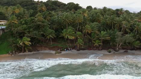 A-coastline-beach-with-palm-trees-lining-the-shoreline