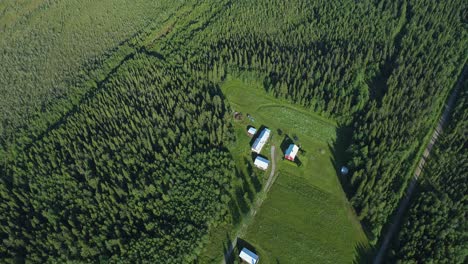 Topdown-drone-shot-of-a-house-surrounded-by-a-vast-forest