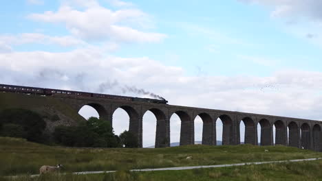 Tren-De-Vapor-Escocés-Volador-Cruzando-Un-Viaducto-Victoriano-En-El-Parque-Nacional-De-Los-Valles-De-Yorkshire-En-Un-Día-De-Verano-Con-Una-Cosecha-Estrecha