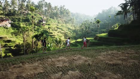 Drone-shot-following-some-tourists-walking-along-some-rice-paddies-at-the-Tegalalang-Rice-Terraces-in-Bali,-Indonesia