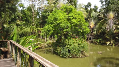 Walking-through-the-rainforest-of-Borneo-on-a-man-made-wooden-walkway