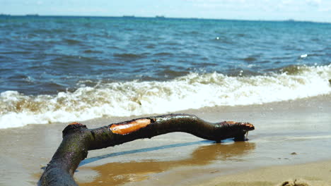 A-single-branch-lies-on-the-seashore,-the-water-washes-the-tree-on-a-sandy-beach