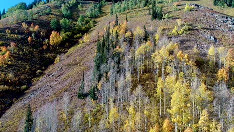 Colorado-Herbstblätter-Färben-Sich-Auf-Diesem-Gleitenden-Blick-Auf-Den-Berg-Im-Herbst-Golden,-Orange-Und-Rot