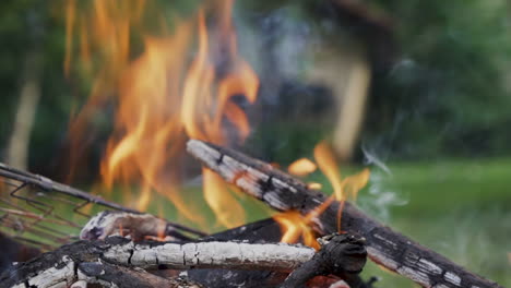 Close-shot-of-burning-campfire-with-blurred-background