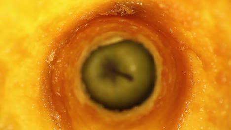 Starting-inside-the-interior-of-an-oxidized-apple-core,-pushing-out-of-the-apple-towards-3-other-apples,-getting-a-great-closeup-of-the-middle-apples-stem,-from-the-tip-to-the-base