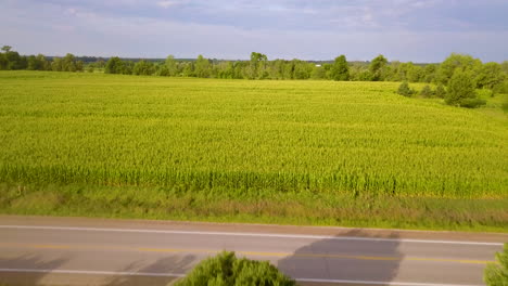 Aerial-hyper-lapse-over-a-ripe-corn-field-to-reveal-the-countryside
