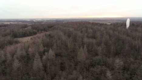 Aerial-view-above-British-countryside-woodland-parkland-forest