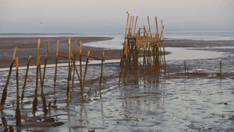 Carrasqueira-Palafitic-Pier-in-Comporta,-Portugal-at-sunset