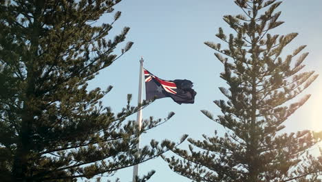 Australische-Flagge-Weht-Im-Wind-Zwischen-Hohen-Bäumen-Mit-Einer-Orange-Leuchtenden-Sonne,-Toowoomba,-Queensland