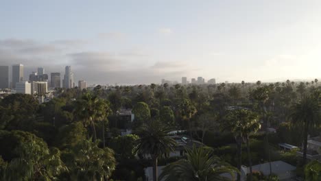 Wunderschöne-Luftaufnahme-Von-Palmen-In-Der-Stadt-Beverly-Hills-Mit-Stadtgebäuden-Im-Hintergrund