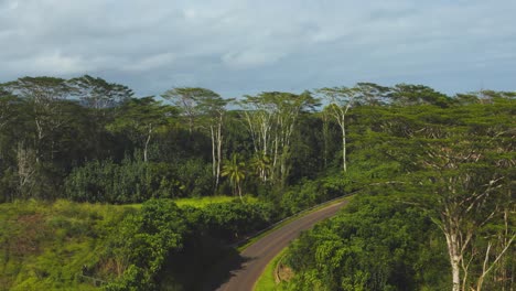 Aerial-view-flying-over-tropical-trees-in-Kauai,-Hawaii