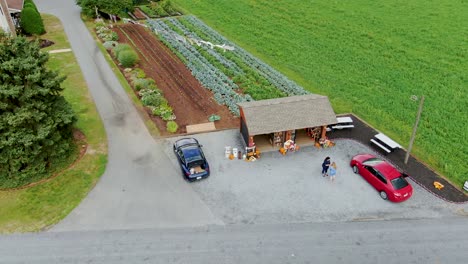 Aerial-of-two-women-shopping-at-Amish-roadside-produce-stand-in-Amish-Country,-Pennsylvania