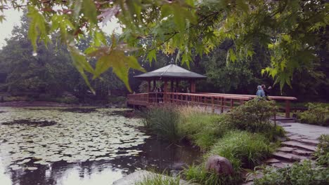 Japanese-garden-bridge,-rainfall-and-tranquil-scene,-Slow-motion-pan