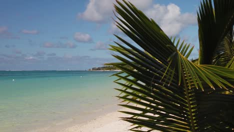 Eine-Seitliche-Zeitlupenaufnahme-Mit-Sich-Bewegenden-Palmblättern-Im-Vordergrund-Und-Dem-Blick-Auf-Einen-Tropischen-Strand-Unter-Einem-Wunderschönen-Himmel