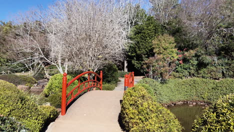 Pan-left-from-red-bridge-to-pond,-Ju-Raku-En-Japanese-Garden,-Toowoomba-Australia