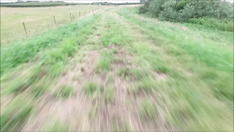 Ein-Blick-Entlang-Eines-Der-Tausende-Und-Abertausende-Von-Weizenfeldern-In-England,-Vereinigtes-Königreich