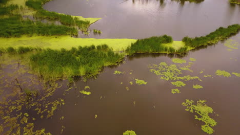 Aerial-of-a-murky,-wetland-marsh