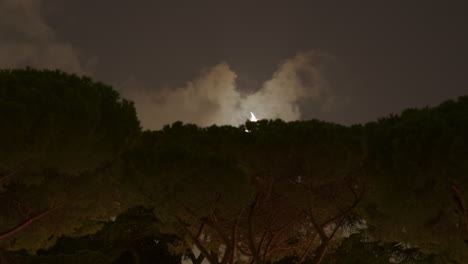 Timelapse-of-Crescent-Moon-Setting-Behind-Trees
