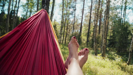 Relaxing-on-a-hammock-by-the-edge-of-the-forest---mid-shot