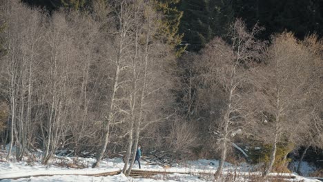 Man-walking-his-dog-in-a-snowy-forest-on-a-wooden-bridge-from-afar
