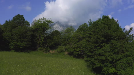 Start-at-eye-level-on-a-juicy-meadow-the-camera-gains-height-and-reveal-the-view-to-a-mountain-partly-covered-in-clouds