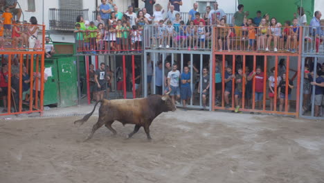 Slow-motion-long-shot-of-a-famous-traditional-bull-run-on-the-main-square-of-a-spanish-village