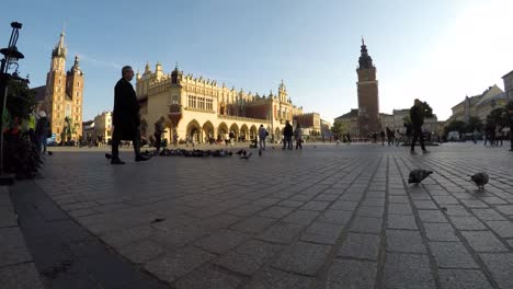 A-time-lapse-of-people-strolling-and-feeding-the-pigeons-at-a-square-of-the-old-town