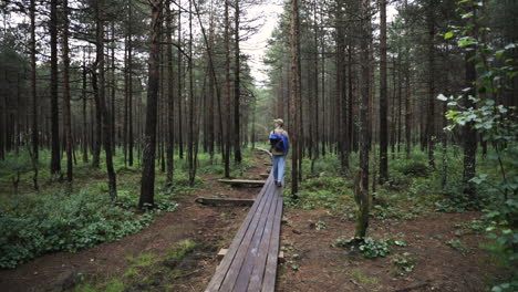 Man-walks-through-forest-on-wooden-pathway,-slow-pan-from-behind
