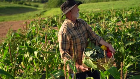 Portrait-of-senior-caucasian-good-looking-wise-man-farmer-in-a-hat-looking-at-the-side,-turning-face-to-the-camera-in-a-field