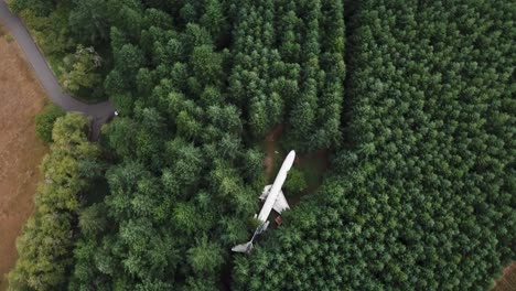 Einzigartige-Szene,-Verstecktes-Gelandetes-Verkehrsflugzeug-Im-Wald