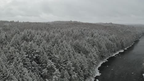 Coniferous-forest-along-Piscataquis-river.-Maine.-USA.-Aerial