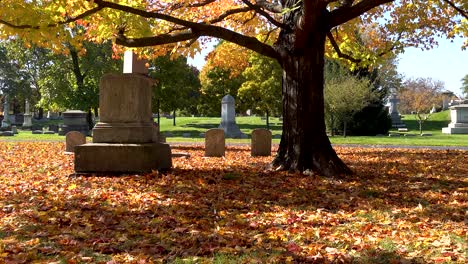 colorful-autumn-leaves-and-headstones-4k