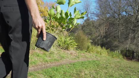 Slow-motion-shot-of-a-businessman-carrying-a-plant-and-a-shovel-through-a-field