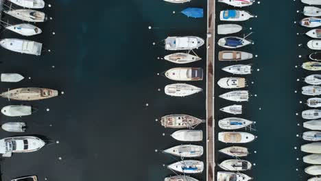 drone-footage-of-swiss-near-Leman-Lake,-showing-grape-fields,-boats,-harbor,-small-towns