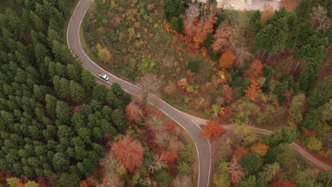 High-top-down-aerial-of-two-cars-driving-over-road-in-autumn-forest