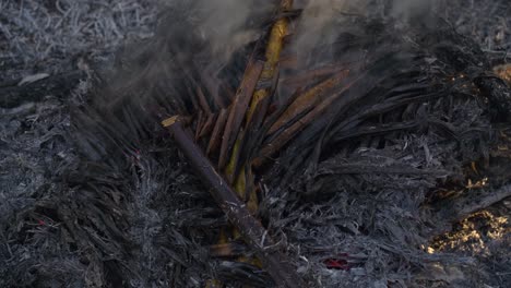 Smoke-From-Extinguished-Fire-On-Burnt-Coconut-Leaves-With-Ashes---close-up