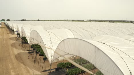 Aerial-footage-of-large-greenhouse-farms-in-Spain