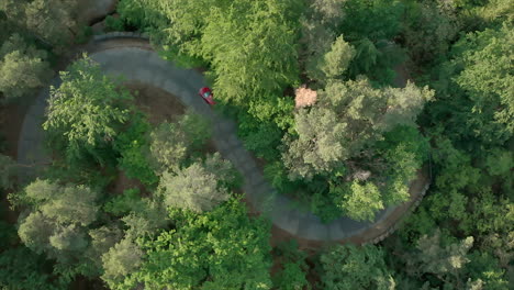 Red-car-driving-s-shaped-curve-road-between-trees,-top-down-aerial-view