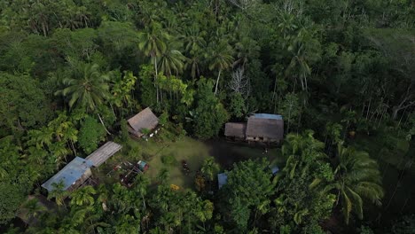 A-group-of-houses,-forming-a-farm-or-a-small-village-on-top-of-a-mountain,-surrounded-by-jungle-and-nature-in-New-Britain,-Papua-New-Guinea