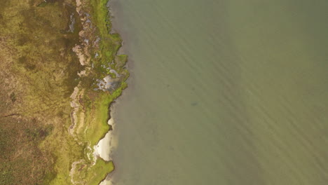 top-down-drone-camera-view-of-the-shoreline-in-a-marsh-area,-on-a-cloudy-day